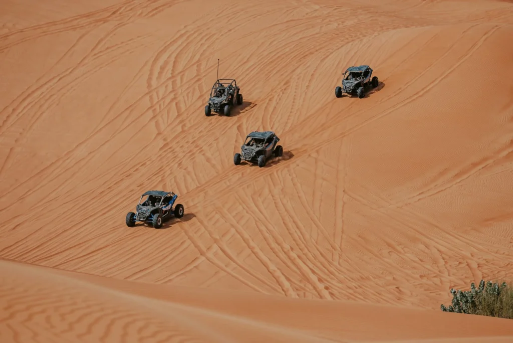 Evening Dune Buggy Tour with BBQ